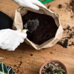 Elevating Your Garden's Health: Exploring the Benefits of Vermicomposting