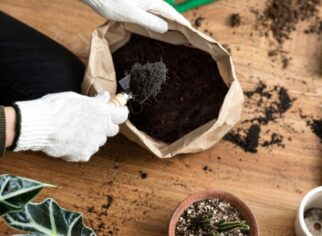 Elevating Your Garden’s Health: Exploring the Benefits of Vermicomposting
