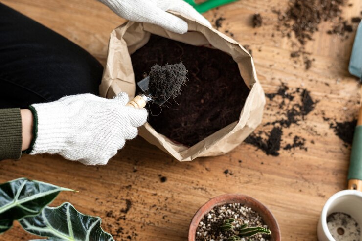 Elevating Your Garden's Health: Exploring the Benefits of Vermicomposting