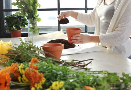 Integrating Herbal Plants in Your Kitchen Garden For Flavor and Health