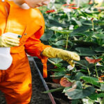 The Hidden Costs of Chemical Pest Control